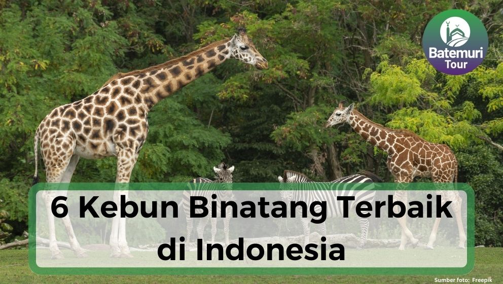 6 Kebun Binatang Terbaik di Indonesia, Wisata Satwa Bareng Keluarga